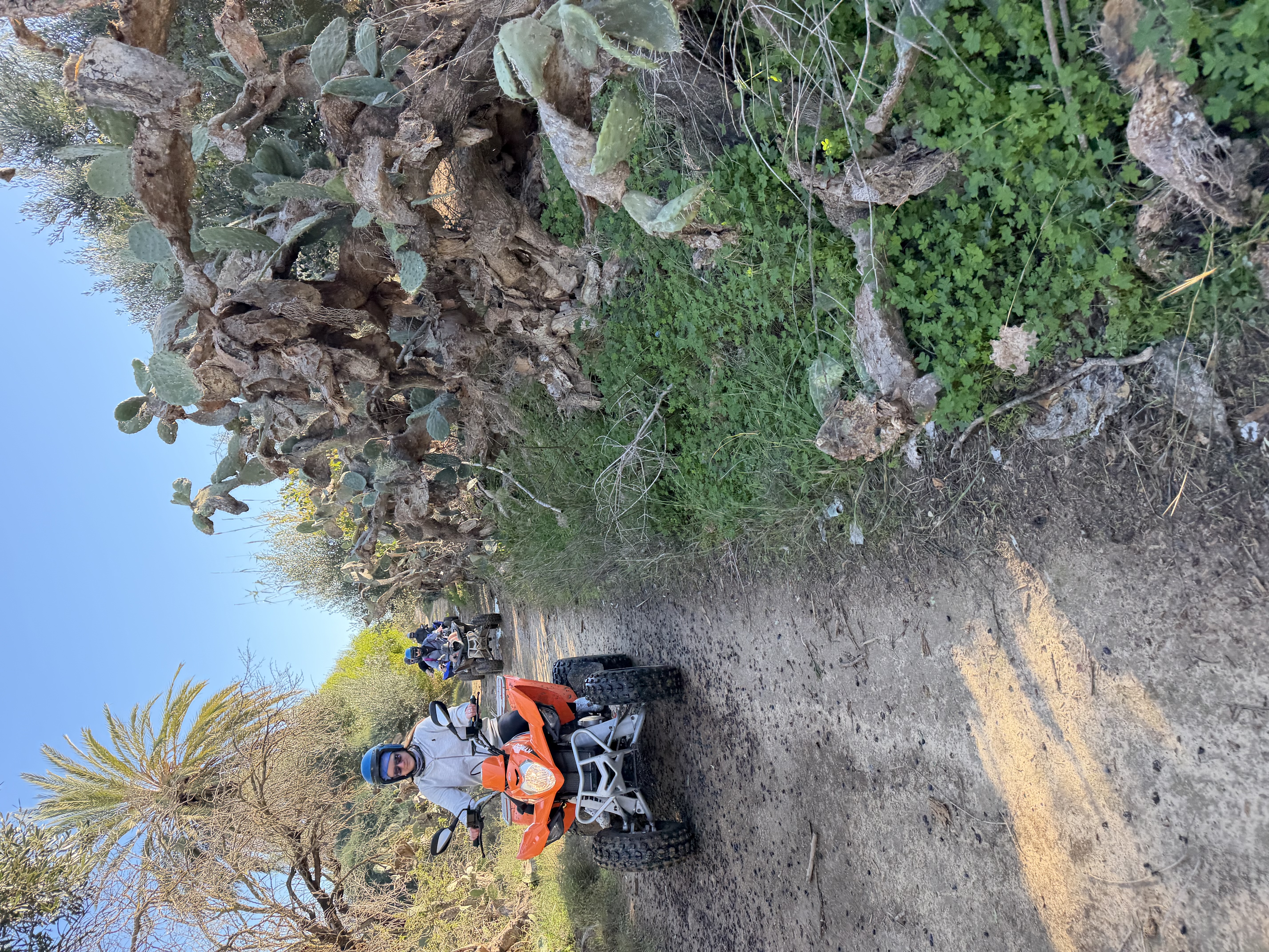 Quadbike Adventure